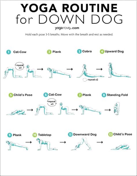 How to Do Downward Dog for Inflexible Beginners | Yoga Rove