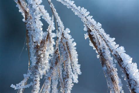 Rime Ice or Hoar Frost? There is a Difference! - DTN