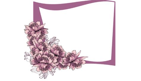 1 Rectangular Flower Frame Png Designs & Graphics