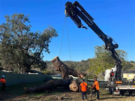 Knuckle Boom Crane Training and Certification in Australia