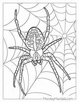 28 Spider Coloring Pages Free PDF Printables sketch template