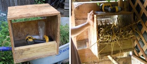 Best chicken nest box dimensions?