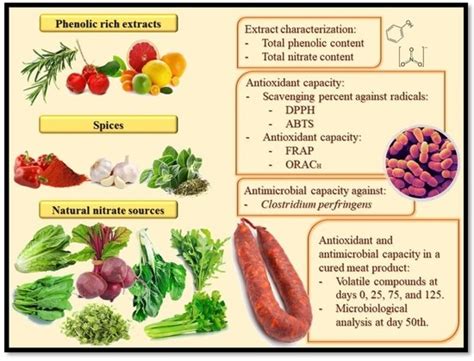 What Foods Are Highest In Nitrates / Which Food Boost Nitric Oxide Production Immediately ...