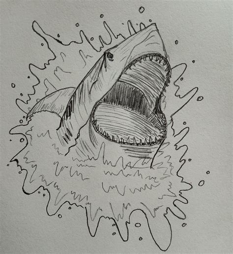 Shark attack : r/drawing