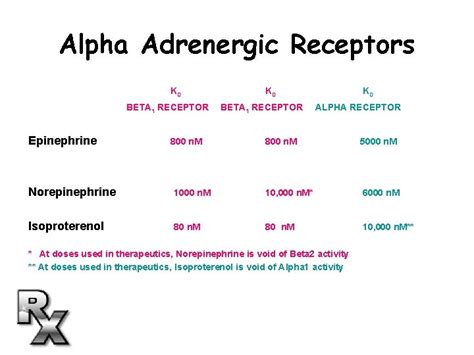 THE PHARMACOLOGY OF ADRENERGIC RECEPTORS M T Piascik