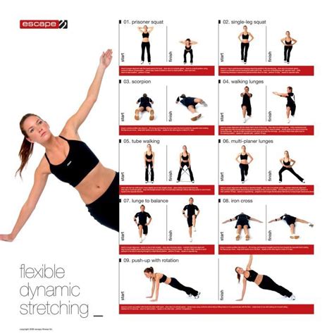 dynamic stretches | Dynamic Stretching Chart :: Sports Supports | Mobility | Healthcare ...