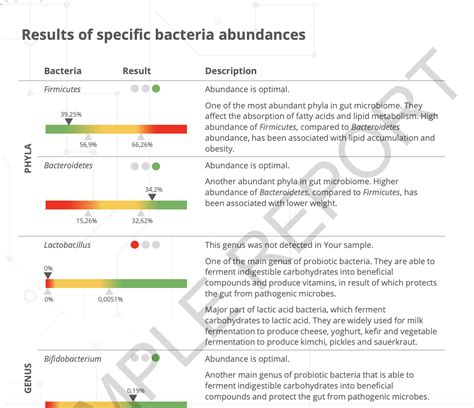 Easy DNA Gut Microbiome Test - Biohack Stack