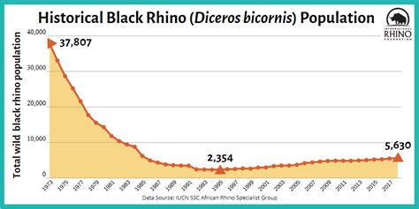 Javan Rhinoceros Population Graph