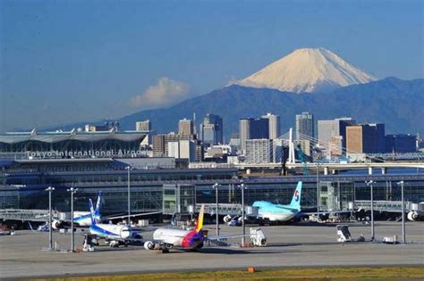 Runway temporarily shut down at Tokyo Haneda airport due to escaped dog ...