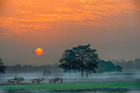 My Village-Life in Pakistan(Part 1) | by Muhammad Nasrullah Khan | Show ...