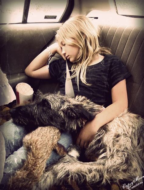 Pin by Karina on creatures | Irish wolfhound, Irish dog, Wolfhound