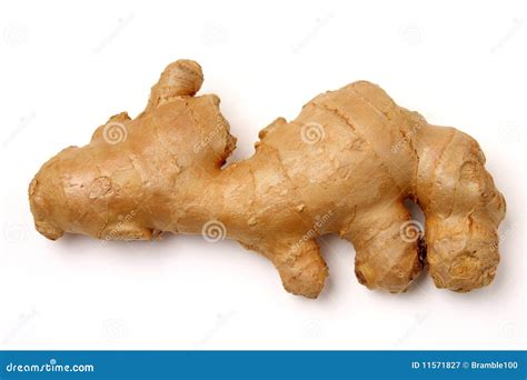 Ginger, Animal Shaped Royalty Free Stock Photography - Image: 11571827