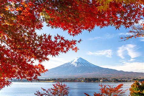 mt_fuji_lake_kawaguchiko_autumn_japan | Kyuhoshi