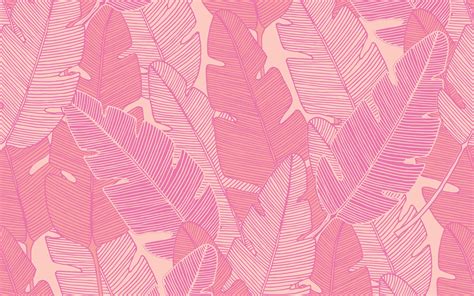 Pink Laptop Wallpapers - Wallpaper Cave