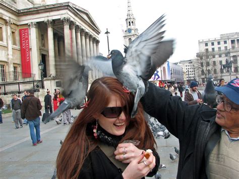 Feeding Pigeons in Trafalgar Square - Seattle's Travels