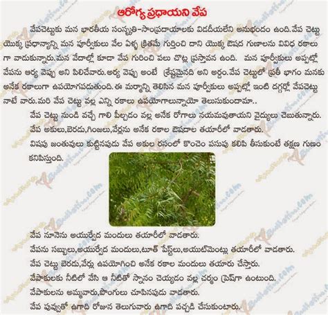 TELUGU WEB WORLD: ADVANTAGES OF NEEM TREE