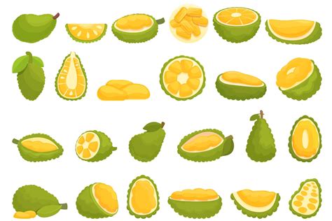 Jackfruit icons set cartoon vector. Vegan fruit (2238200) | Icons ...