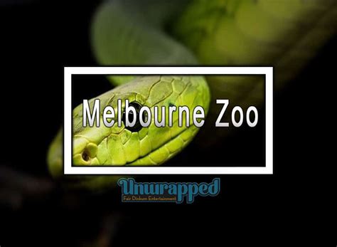 Melbourne Zoo - Location, History and things to do.