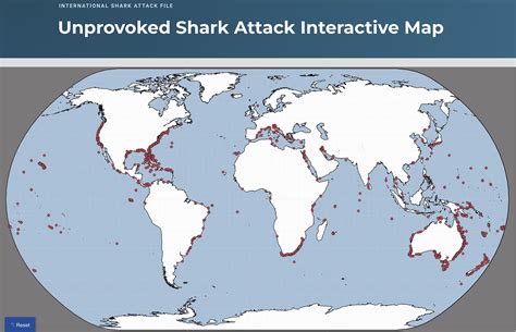 Trending Global Media 藍嵐 Where you're most likely to experience a shark attack: map