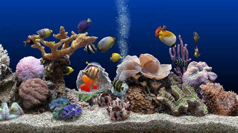 Marine aquarium screensaver 3-3 keycode - ftmusli