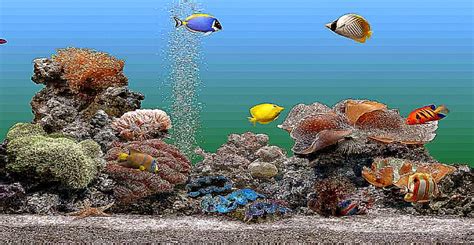 Best aquarium screensaver for windows 7 - ffkse