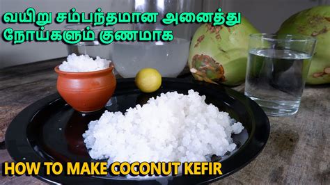 How To Make Coconut Kefir At Home | making Coconut Kefir | best ...