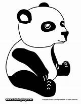 Cute panda coloring Pages 504295 sketch template
