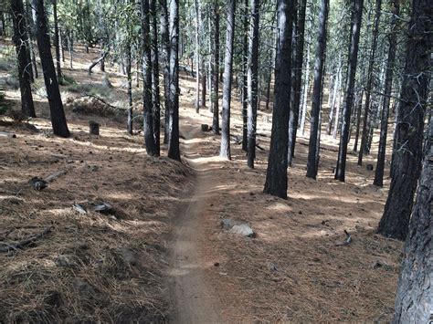 Kent's Mountain Bike Trail in Bend, Oregon - Directions, Maps, Photos, and Reviews