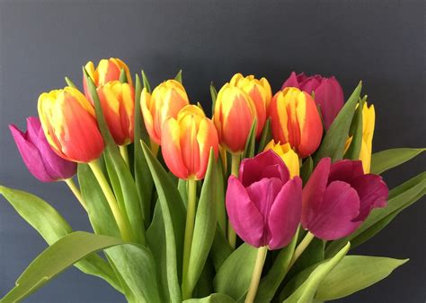 a vase filled with lots of pink and yellow tulips on top of a table