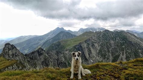 Fagaras Mountains, Romania : r/travel