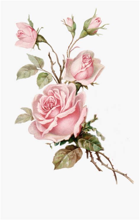 Vintage Roses Png - Pink Roses Png, Transparent Png , Transparent Png ...