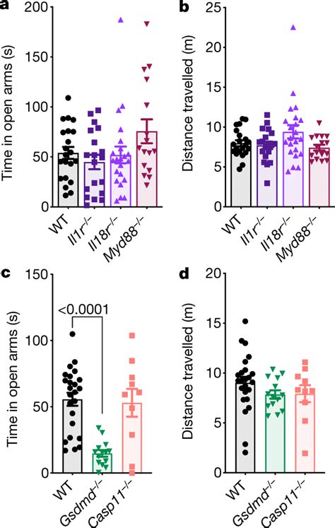 Lack of gasdermin-D activation drives anxiety-like behaviours in ...