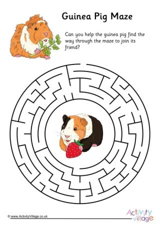 Guinea Pig Puzzles