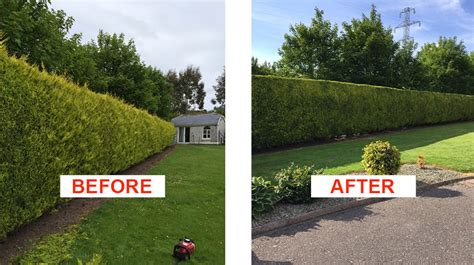 Services - Grass Cutting Cork