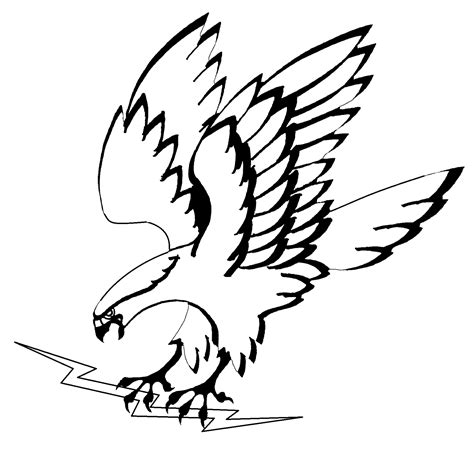 Hawk Flying Drawing | Free download on ClipArtMag