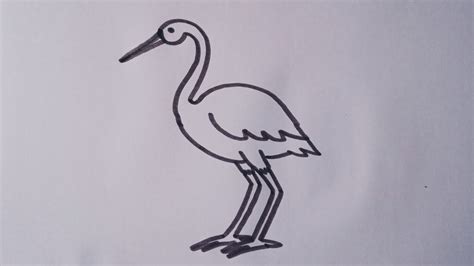 Crane Bird Drawing