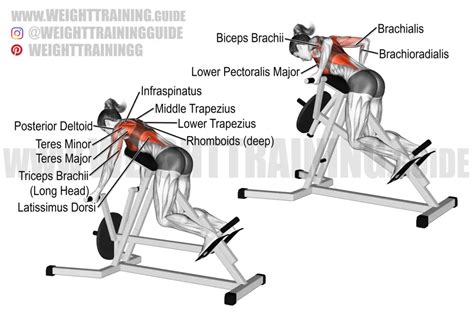 Chest-supported underhand-grip T-bar row exercise instructions