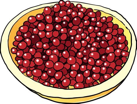 Cranberries Svg Clip Art Cranberries Instant Download Cranberries ...