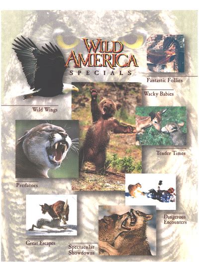 What is Wild America?