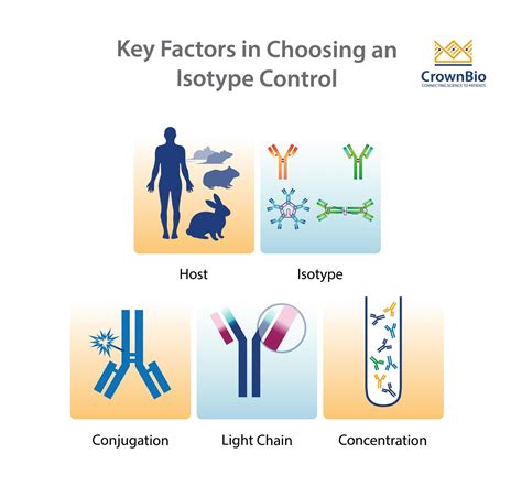 Why to Use Isotype Control Antibodies