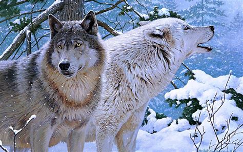 Wolf Wallpapers, Hintergründe | 2560x1600 | ID:327190