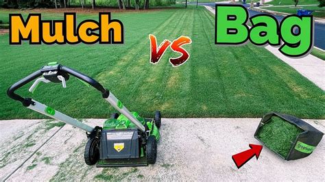 MULCHING lawn waste of time start BAGGING now !! , I have Proof - YouTube