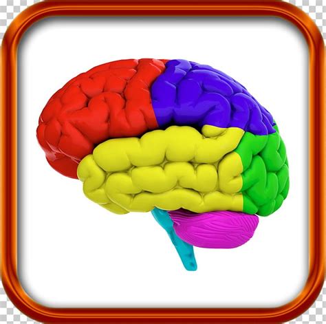 Color Brain - Riset