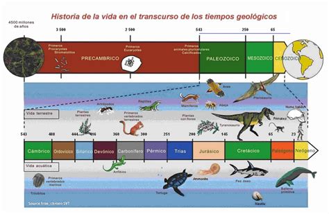 Biología 4to: Evolución de los seres vivos en tiempos geológicos