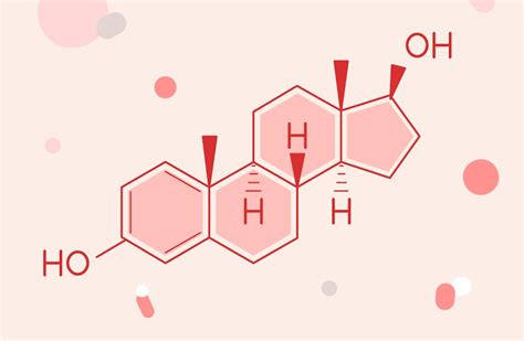 What is Estrogen? | What is Estrogen Dominance? | Natural Cycles