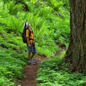 Hiking Trails | Eugene, Cascades & Oregon Coast