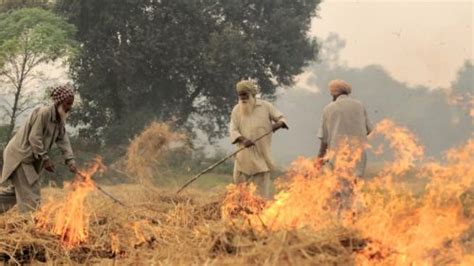 As elections approach, India's farmers count government's broken promises : Peoples Dispatch