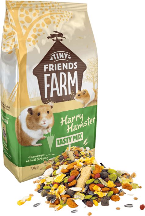 Can Hamsters Eat Dry Dog Food