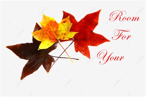 Fall Color Red, Design, Fall Foliage, Weather PNG Transparent Image and ...