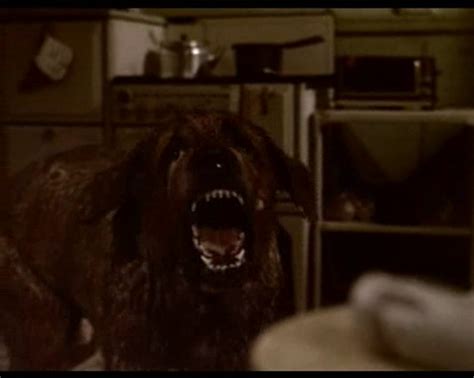 Pin de Horror Hound en CUJO.. MAN'S BEST FRIEND